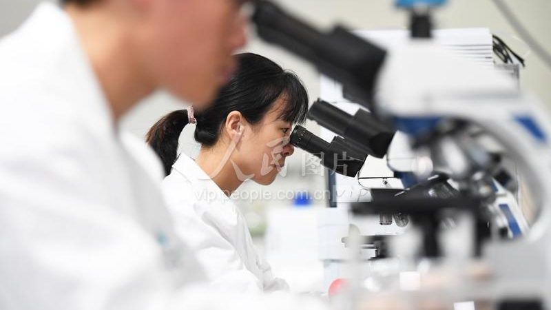 单克隆抗体采购：规格与批发价背后的行业逻辑