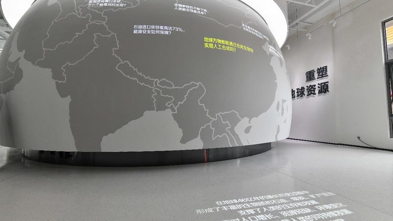 Western blot试剂使用流程：关键步骤与注意事项**