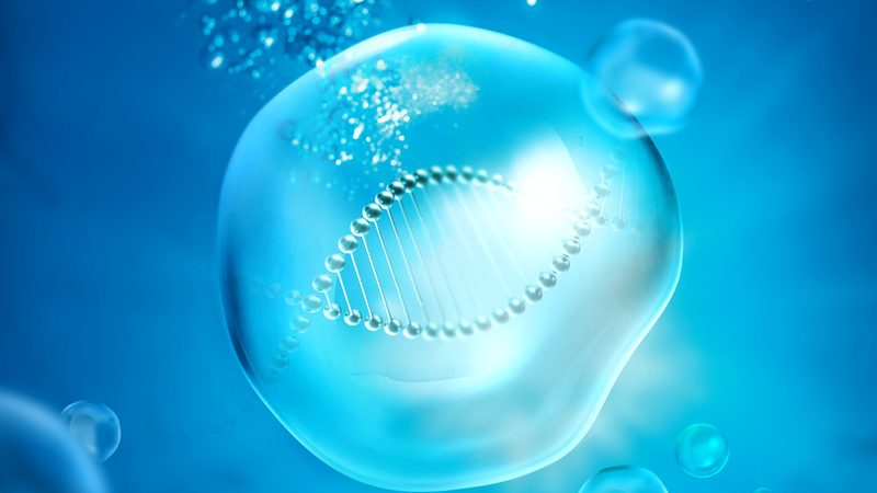 生物科技检测服务代理加盟，你了解这些关键点吗？**