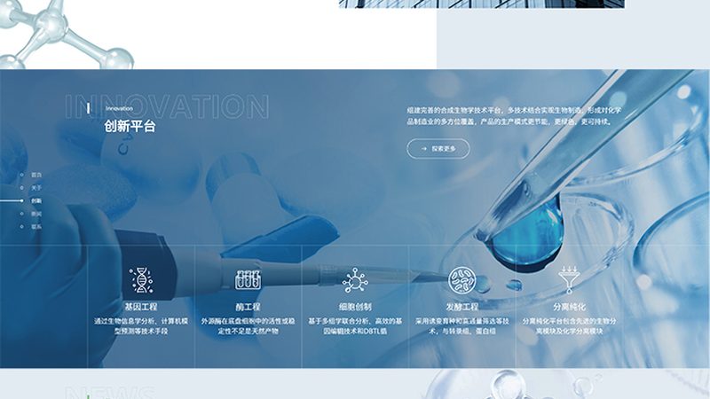 逆转录酶：揭秘其关键作用与应用场景**