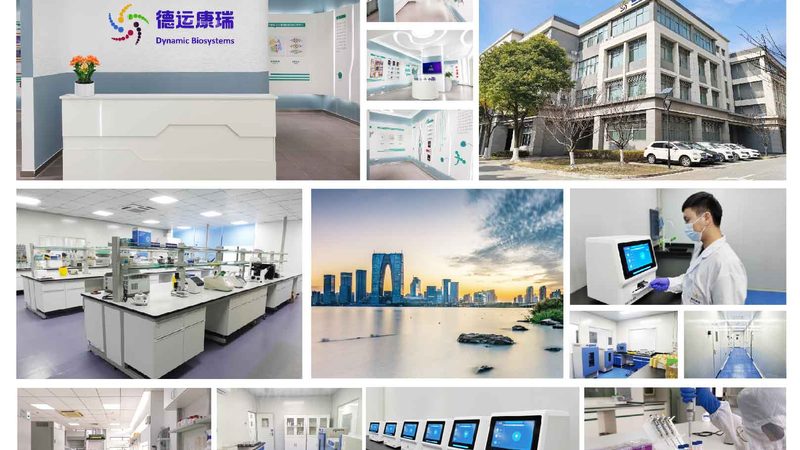 细胞工厂与传统发酵：定制方案背后的技术解析