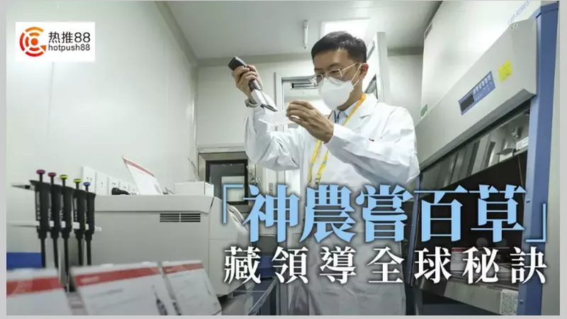 cro实验设计规范：关键要素与注意事项