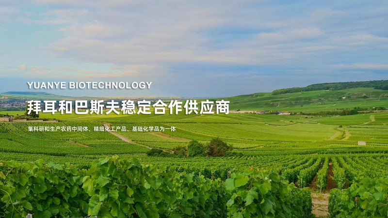 生物试剂标准溶液：规格型号背后的科学奥秘