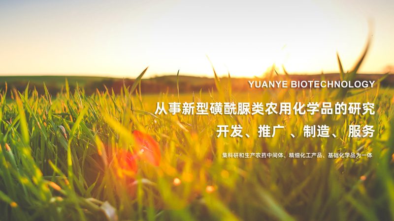 食品酶制剂与化学添加剂：两者的本质区别与选择要点