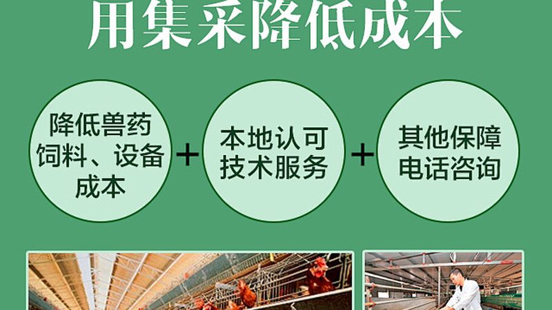 认识误区：价格与品质的等价关系