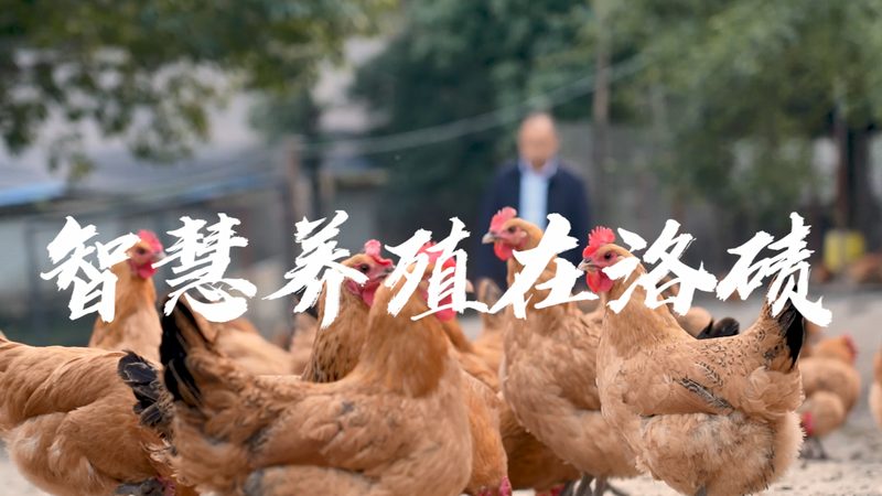 生化试剂代理加盟，揭秘加盟费用的构成与影响因素