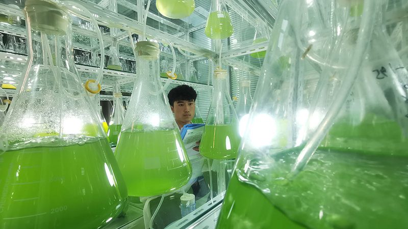 移液器吸头匹配：规范背后的科学逻辑**